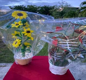 Bunga Sudut Kawat Bulu & Plastik Kresek