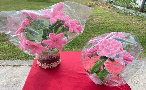 Bunga Meja Kawat Bulu
